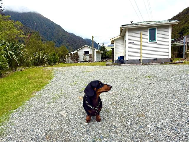 Super 'Cosy' Small Basic Cabin in The Middle of National Park and Mountains but near Road and Railway