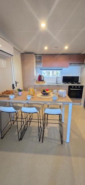 Camping Domaine la Yole, mobile-home pour 6 pers