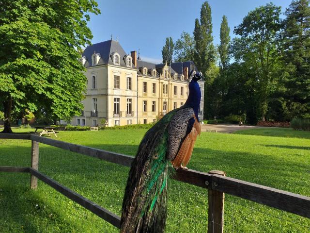 Eco Hôtel du Domaine de Ouézy