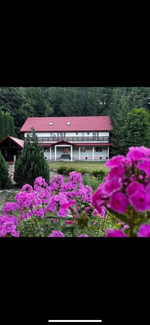 Vacation villa Sucevița