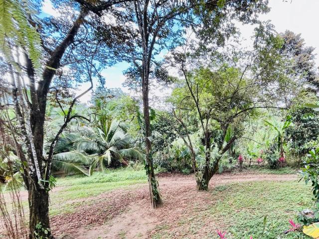 Mayra Campground