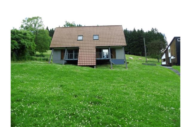 Typ Dachsbau