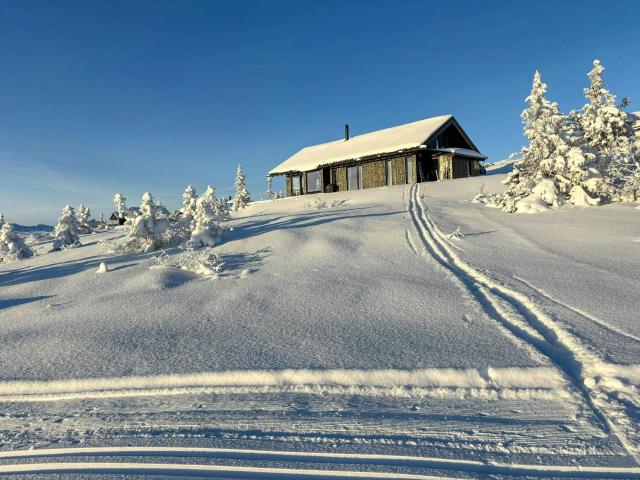 Cabin By Cross-Country Trails Near Høgevarde