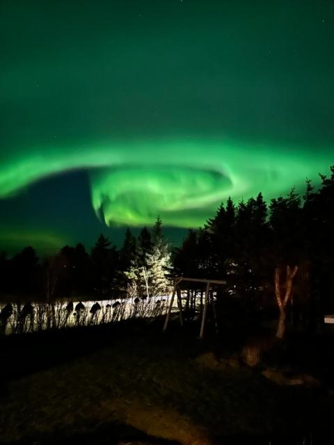 Flemsøy