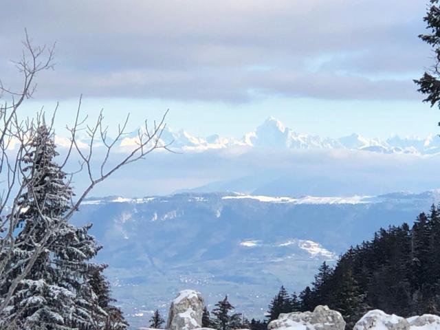 La Bergerie