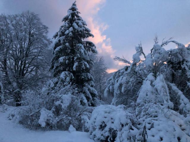 La Bergerie
