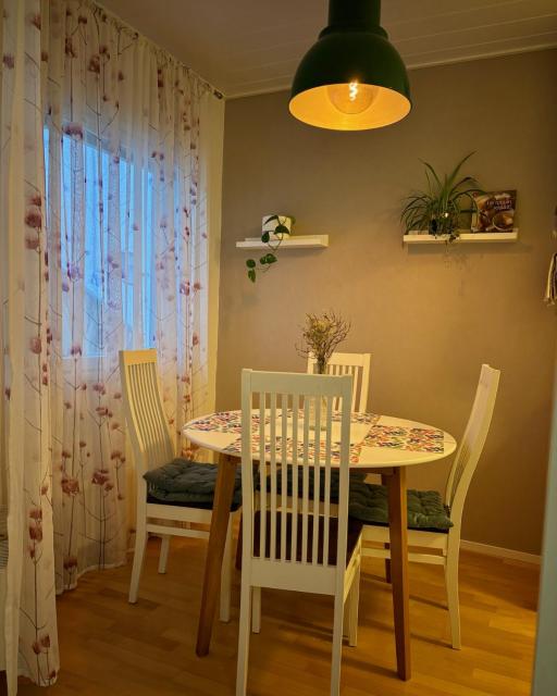 Herttua Central 1BR - Sauna - Free Parking