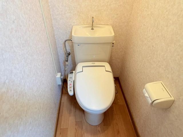 サクセスハイム 203