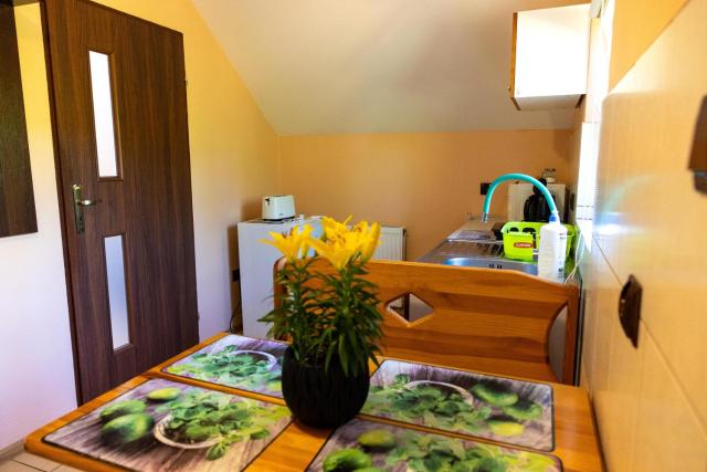 Agroturystyka ZIELONA ZAGRODA w Kosztowej