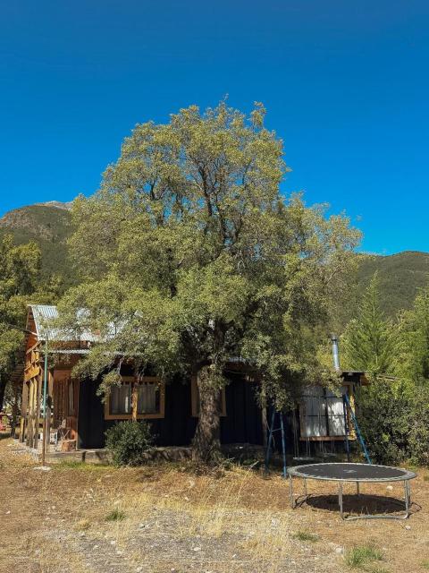 Cabaña Santa Amelia Antuco Pet Friendly
