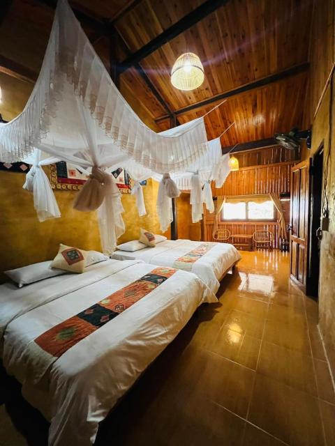 Nexus Hostel & Tour