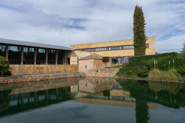 Los Claustros de Ayllón