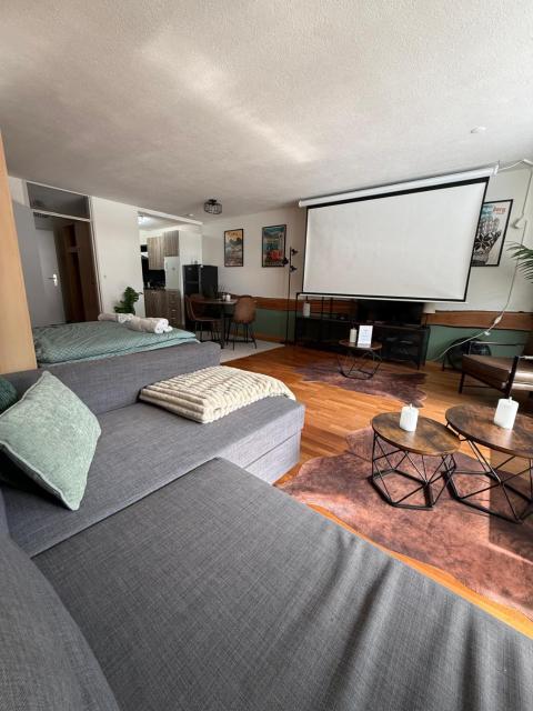 Alpine Hideaway - Cozy Mountainview Studio, Home-Cinema, Free Parking, Ski, Engelberg, Luzern