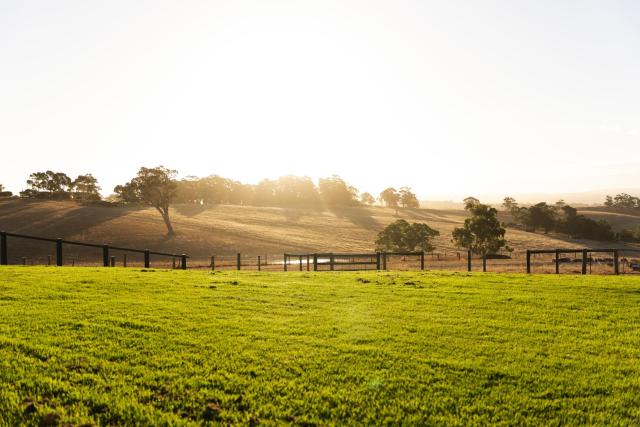 Hahndorf Farm Barn
