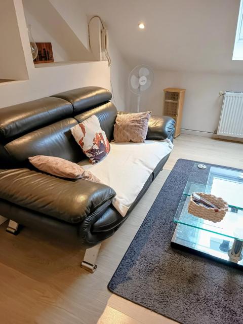 Flat F2 51 meters close to Belfort city center