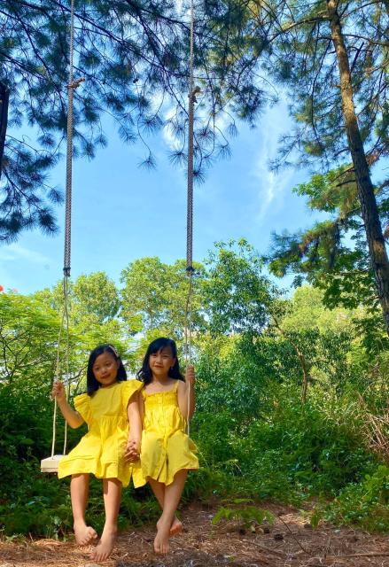 Pine Hill Villas & Camping