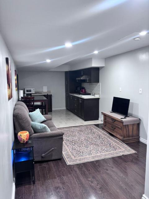 Bernie's Basement