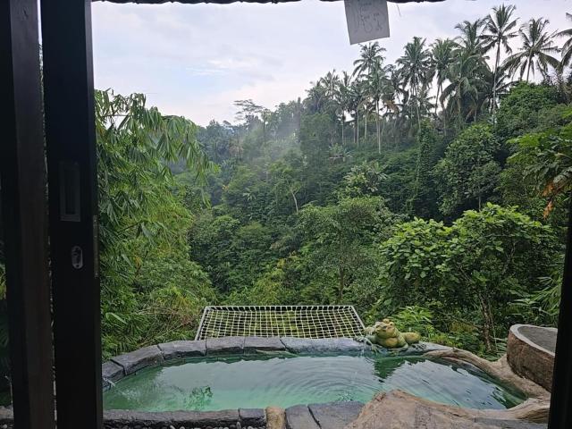 Cabin swargana
