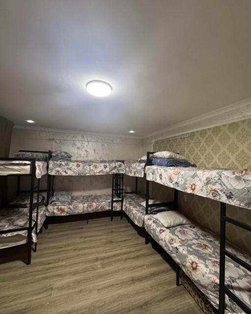 Hostel Dom