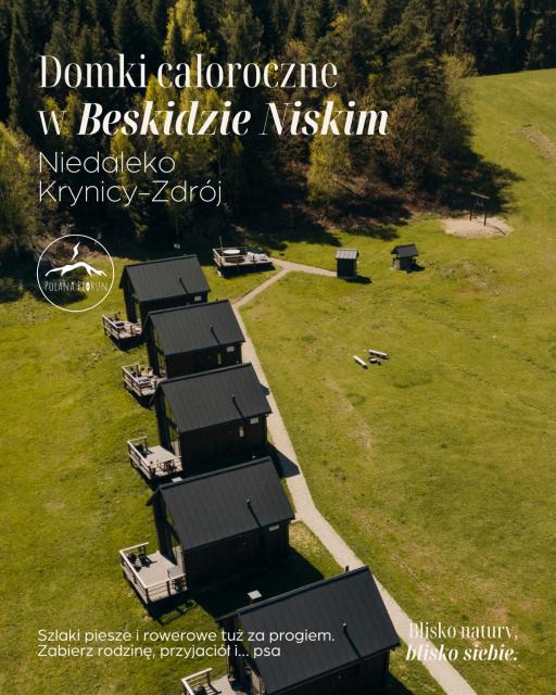 POLANA PIORUN-Rodzinne domki w Beskidzie Niskim