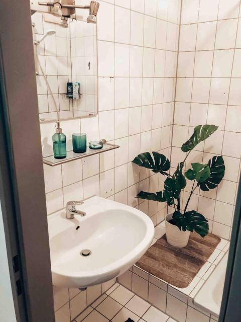 Cool city apartment on 2 floors, near main station, trade fair