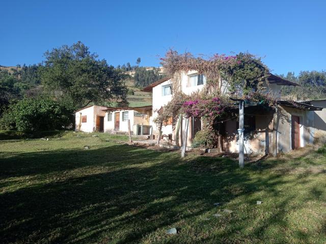 Shendao Eco Salud