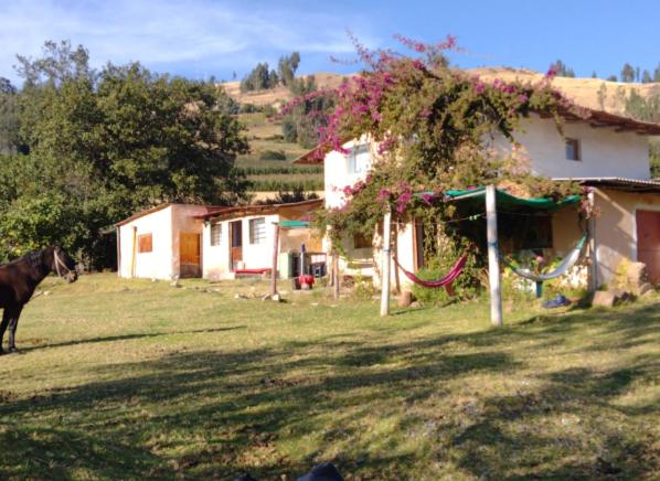 Shendao Eco Salud
