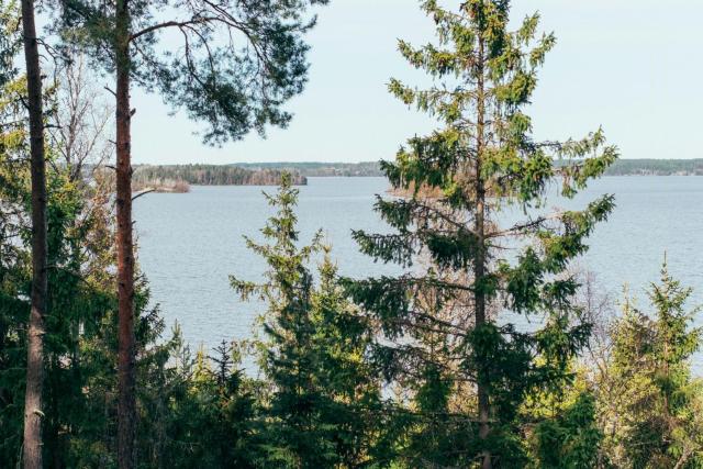 Secluded Island Cabin With Lake View