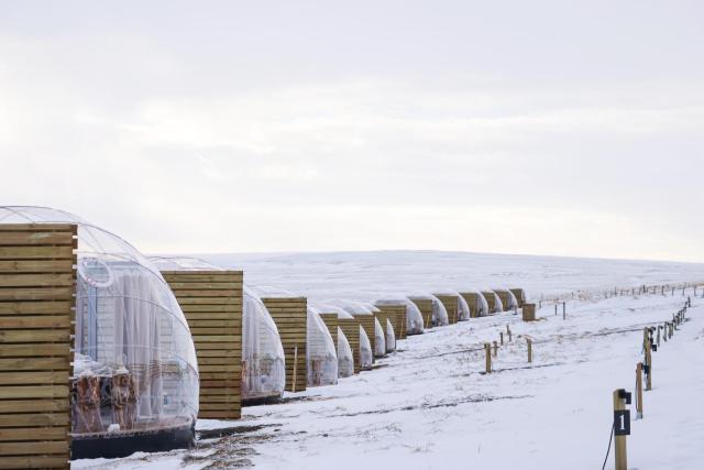 Aurora Igloo North