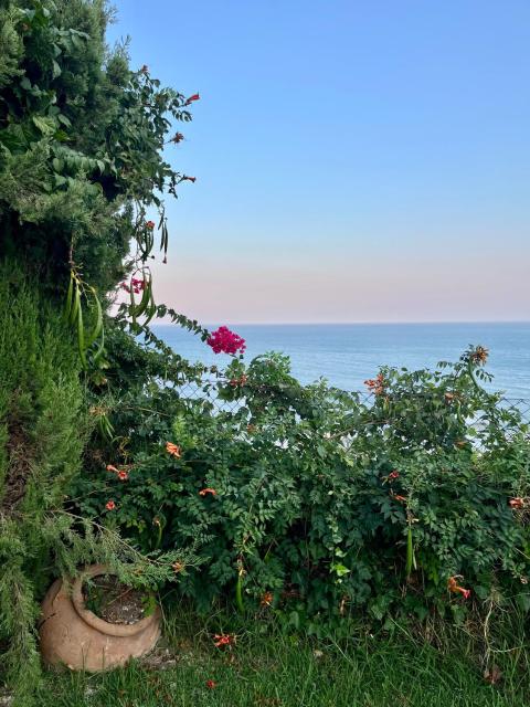 La Roca Sea View