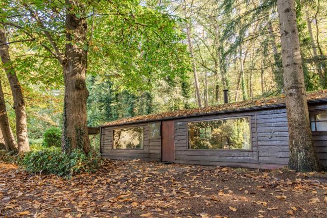 Forest Cabin Karper I Private Getaway in the Woods