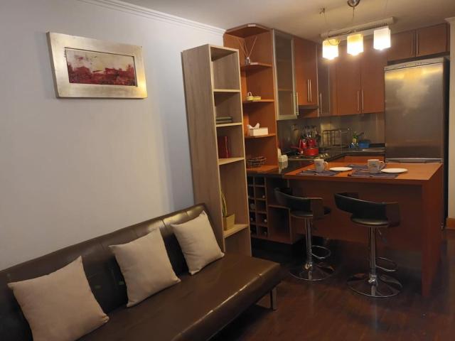 Departamento en Providencia, Pedro de Valdivia