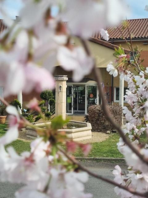 Hôtel Le Kolibri
