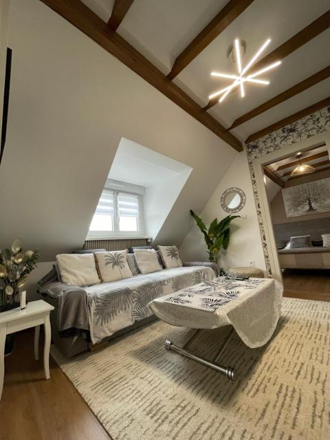 Comfortable F4 in Strasbourg-Near center & tram