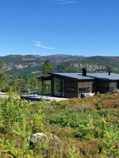 Spacious Mountain Cabin With View In Nissedal
