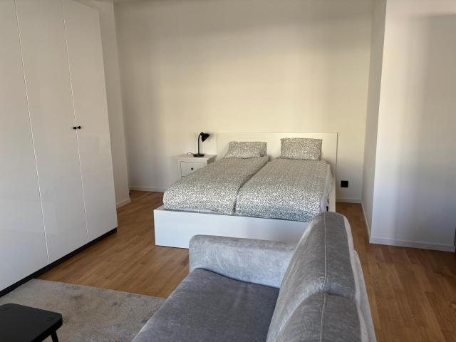 Expérience unique à Lausanne, Top floor Apartment on Lausanne Train Station