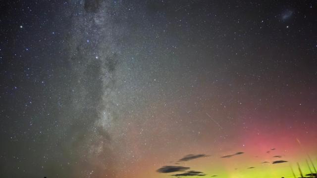 Manuka Starlight Cabin