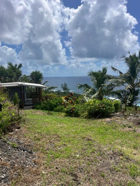 Au pied du Piton Bellevue