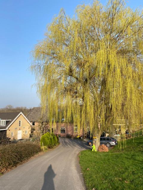 Het Boenhok logies