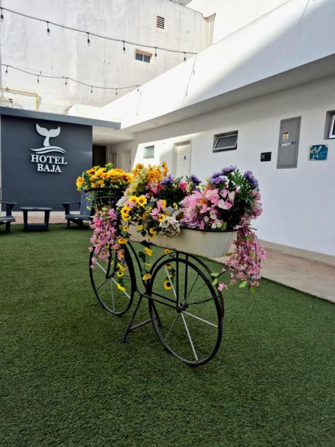 Hotel Baja