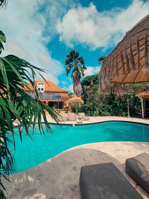 Coconuts Tropical Boutique Hotel Curaçao