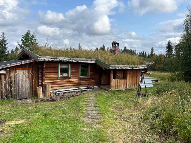 Log Cabin With 360-Degree Views Near Trysil