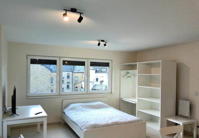 Elegant Apartment at Luxembourg Gare