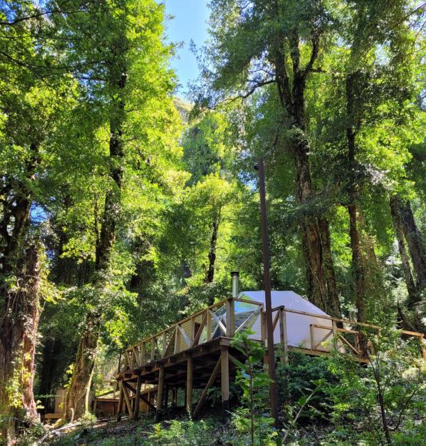 Glamping Pucón