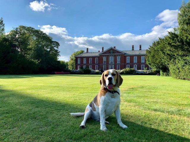 Bosworth Hall Hotel & Spa