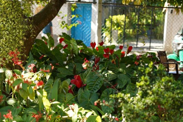 Garden View Mirissa