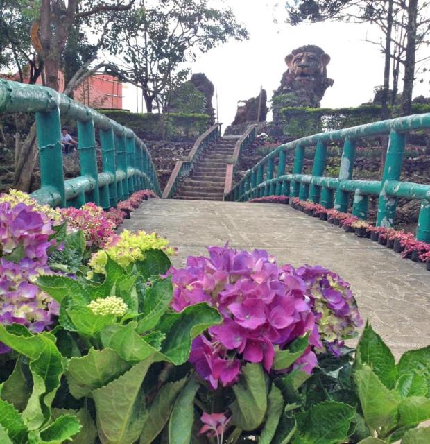 Skyland Garden Hotel and Resort