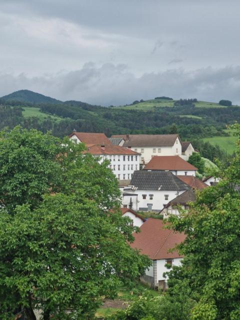 Hotel Rural Irati selva de Irati