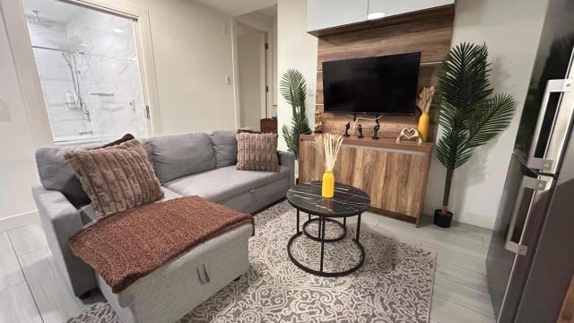 Spacious Penthouse in Prime Downtown Location