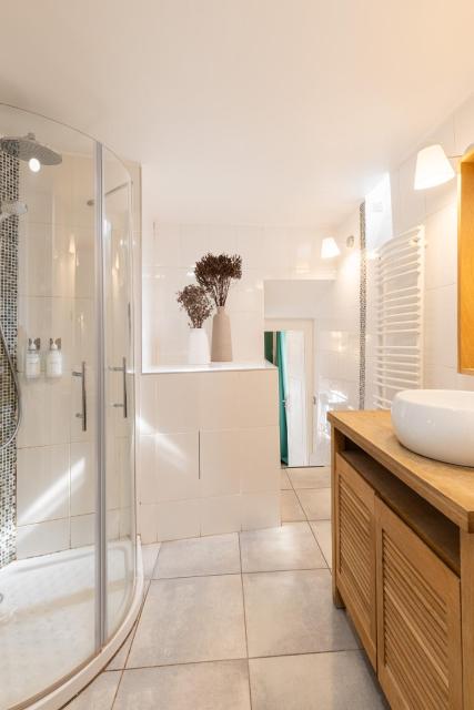 Duplex Jardin Privé et Vue sur le Vieux-Lyon